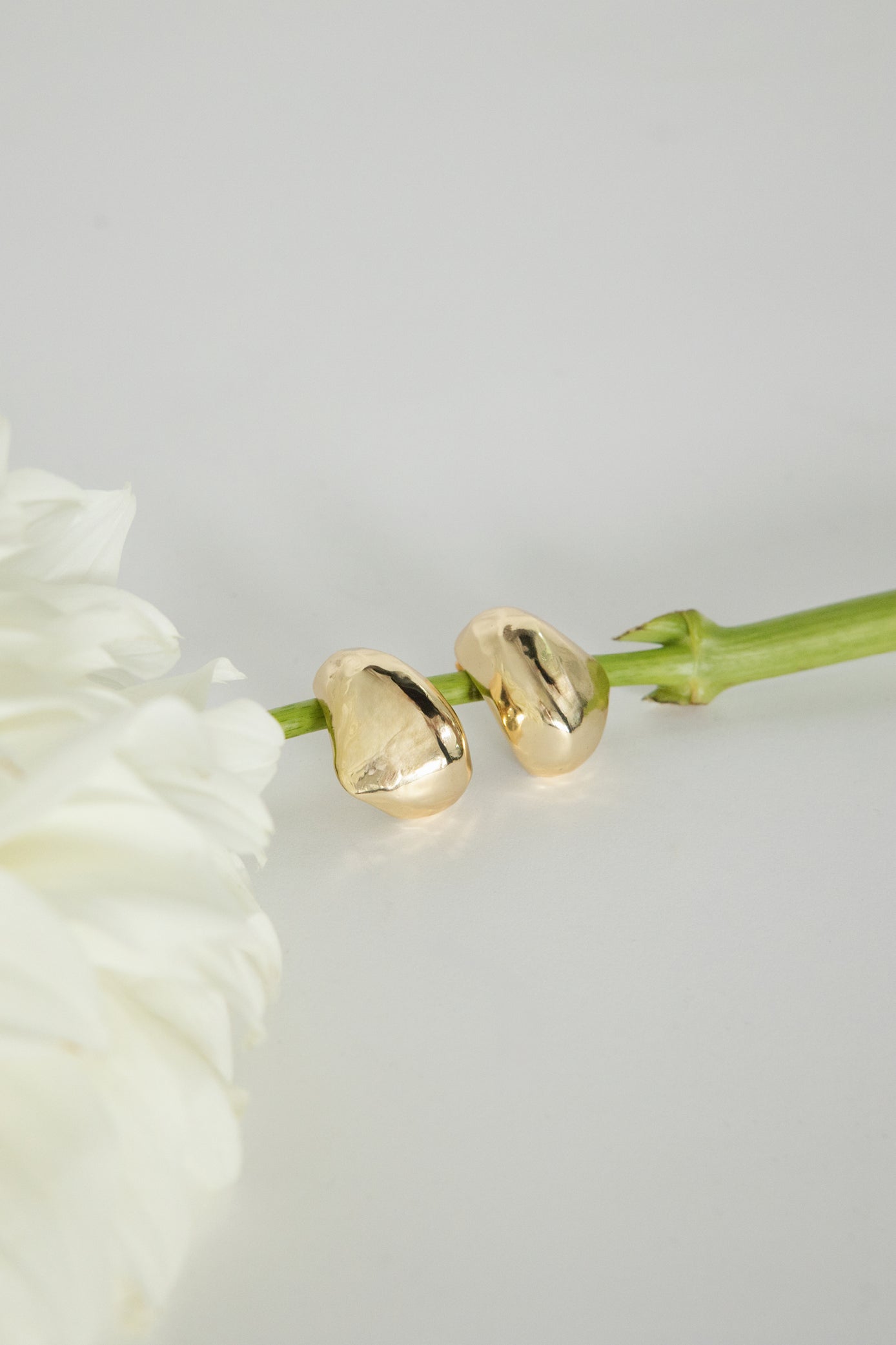 Dune Large Earrings