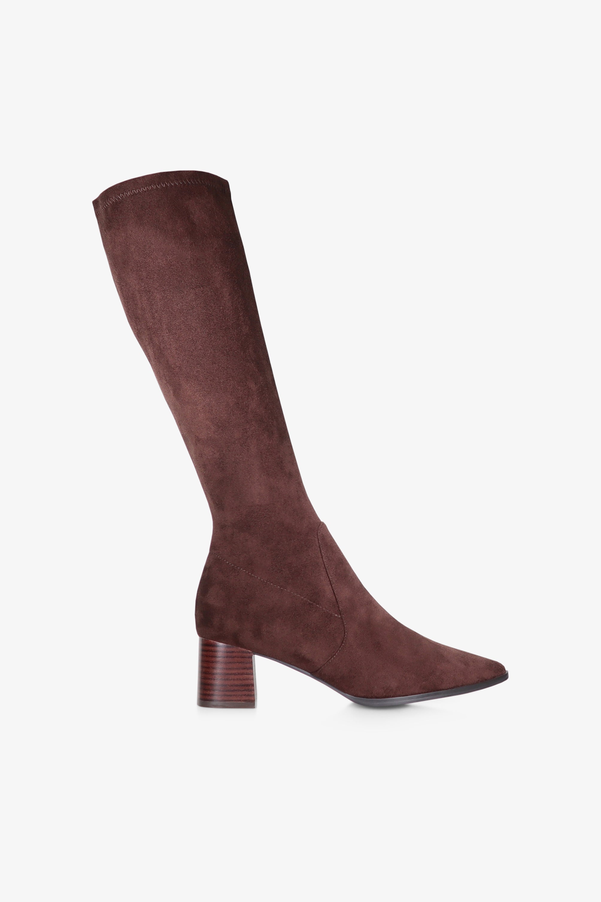Monica Knee High Pointed Toe Boot