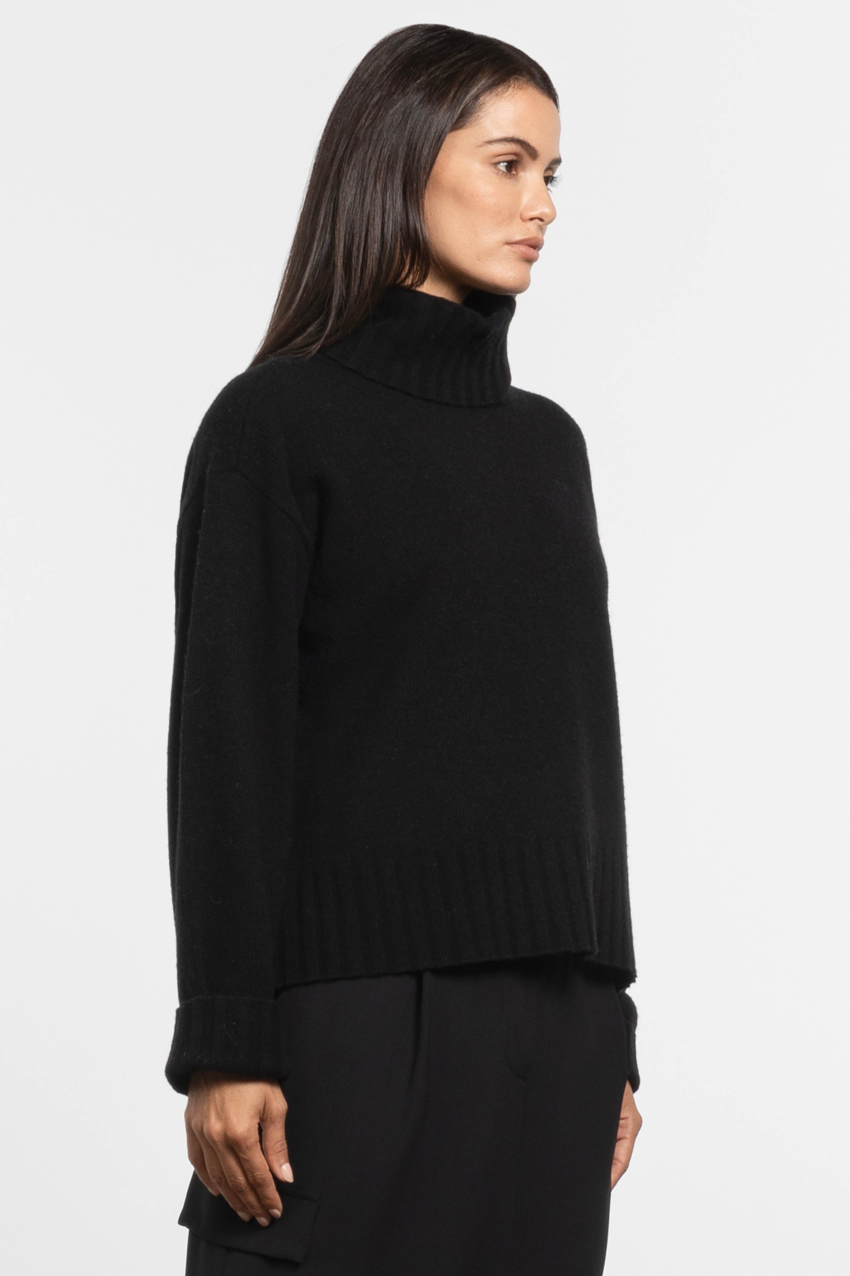 Leanne Knit Turtle-Neck Jumper