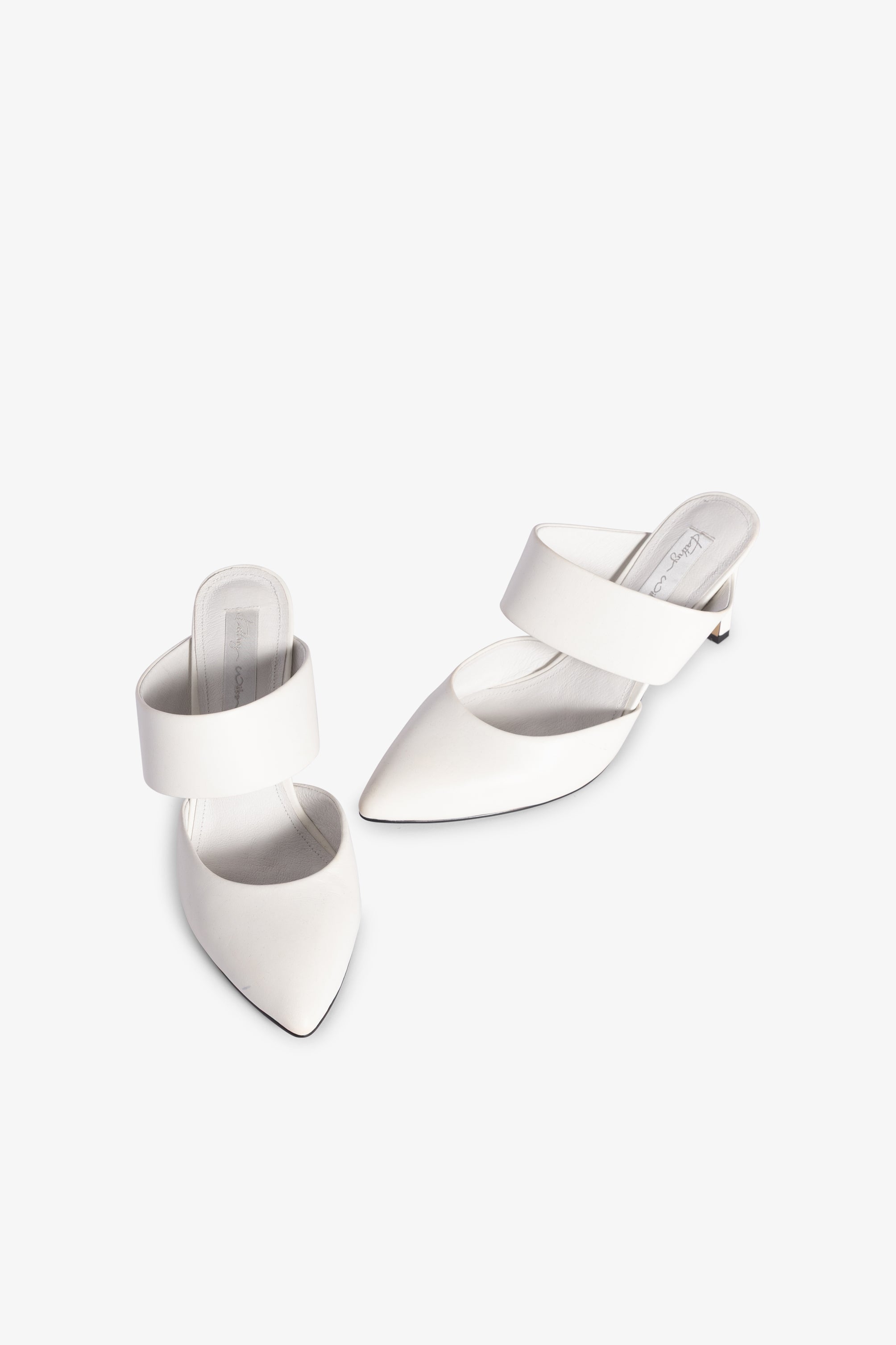 Rochelle Double Strap Pointed Toe Heel