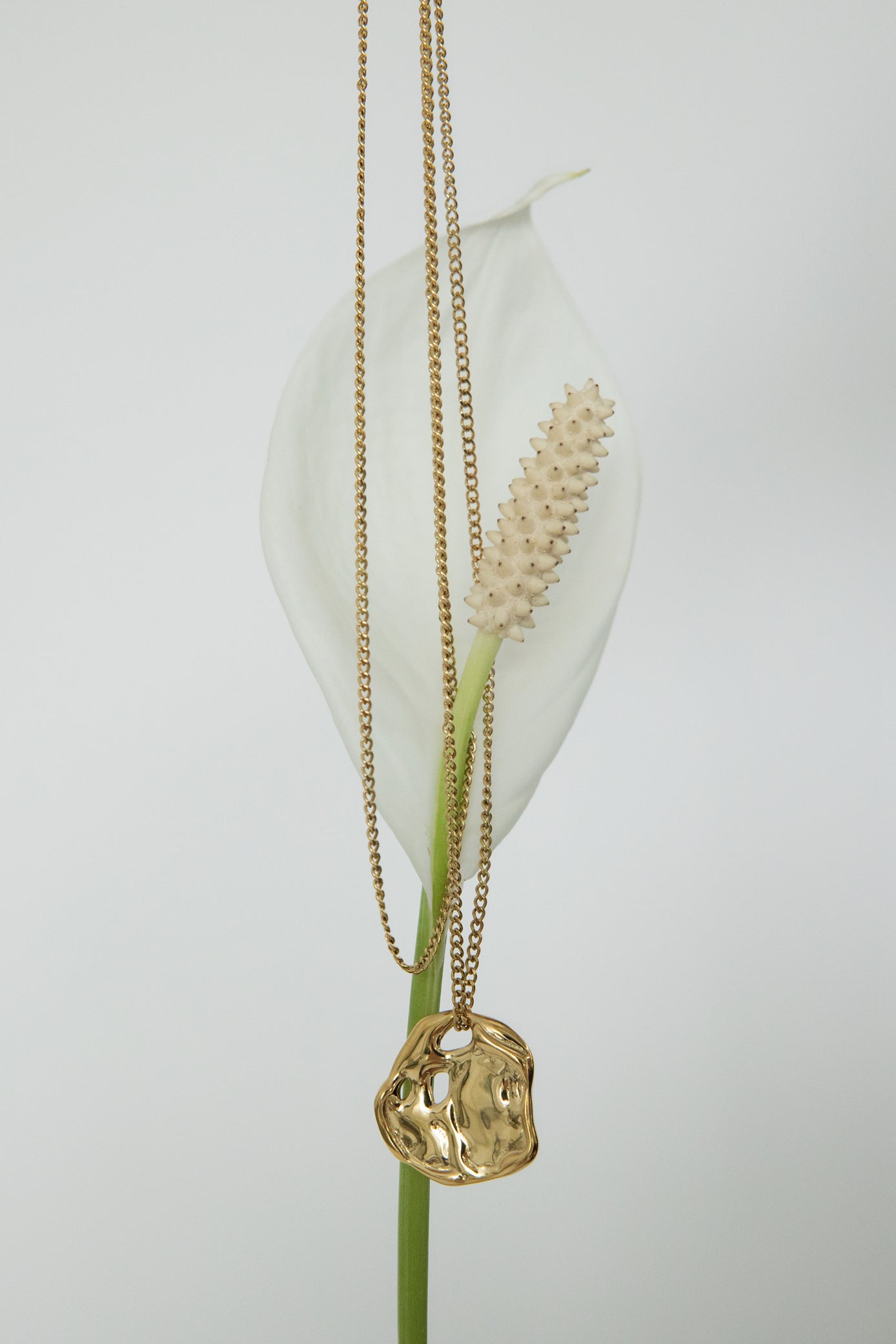 Dawn Hammered Disk Necklace
