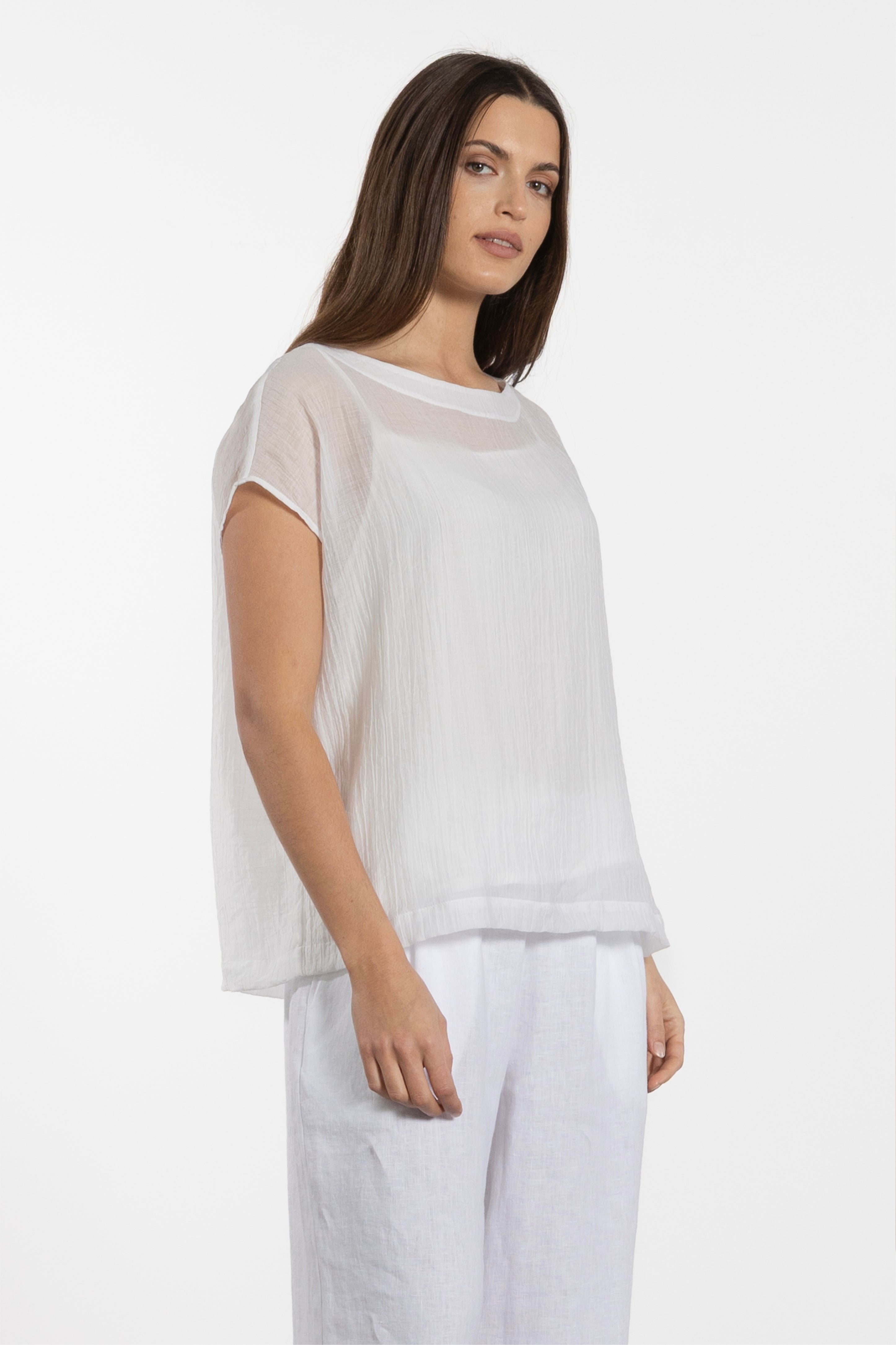 Enzo Sheer Top With Cami