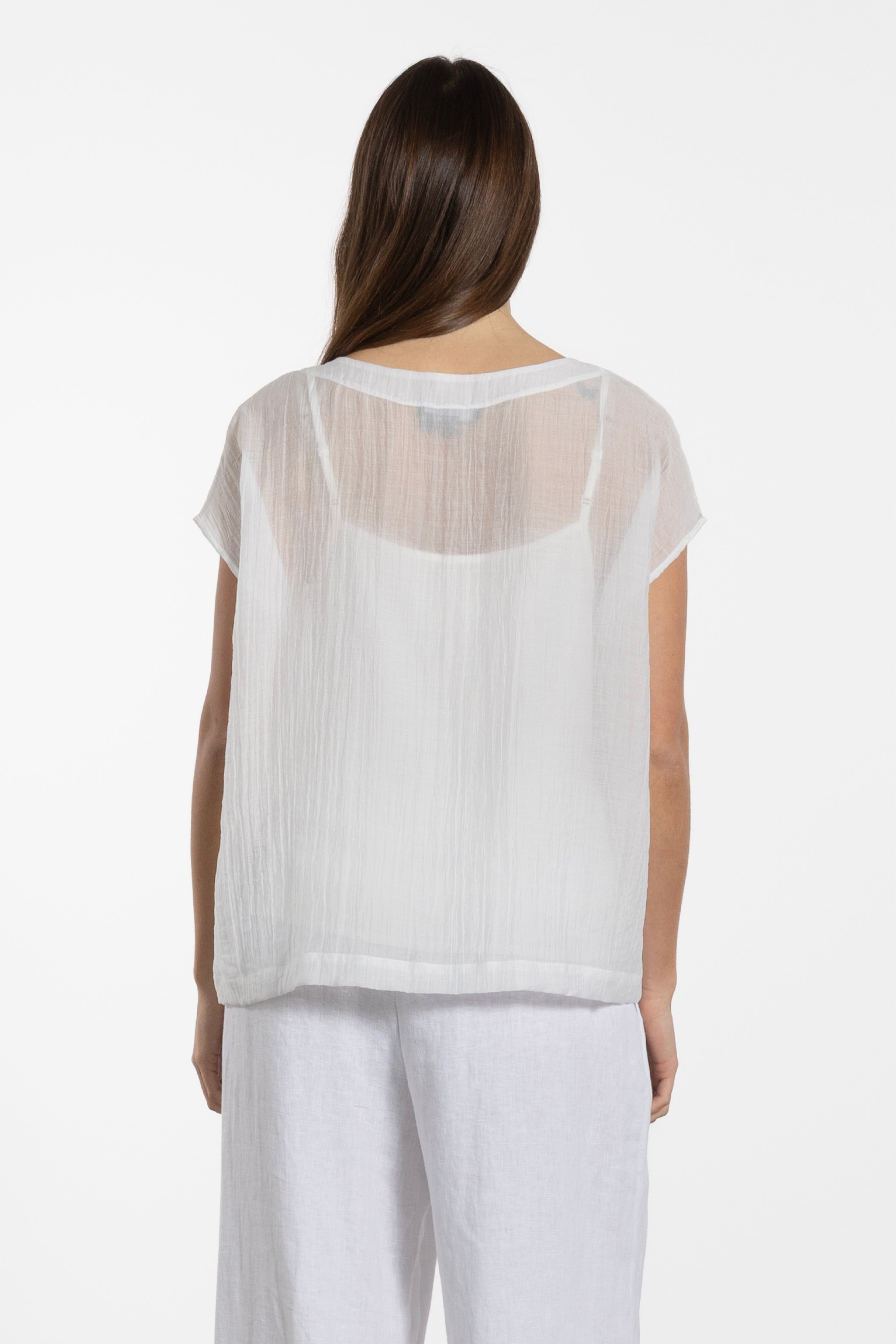Enzo Sheer Top With Cami