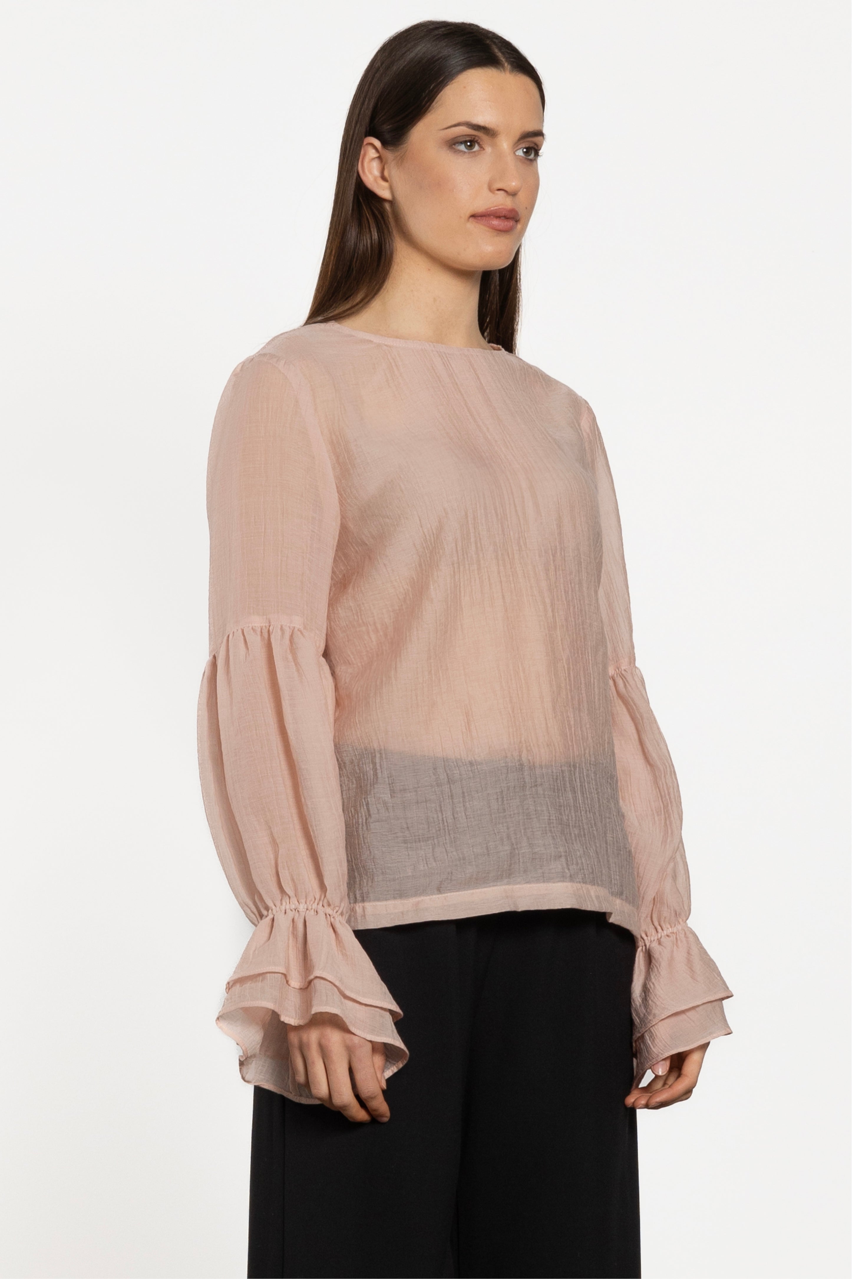 Poet Long Sleeve Semi-Sheer Blouse