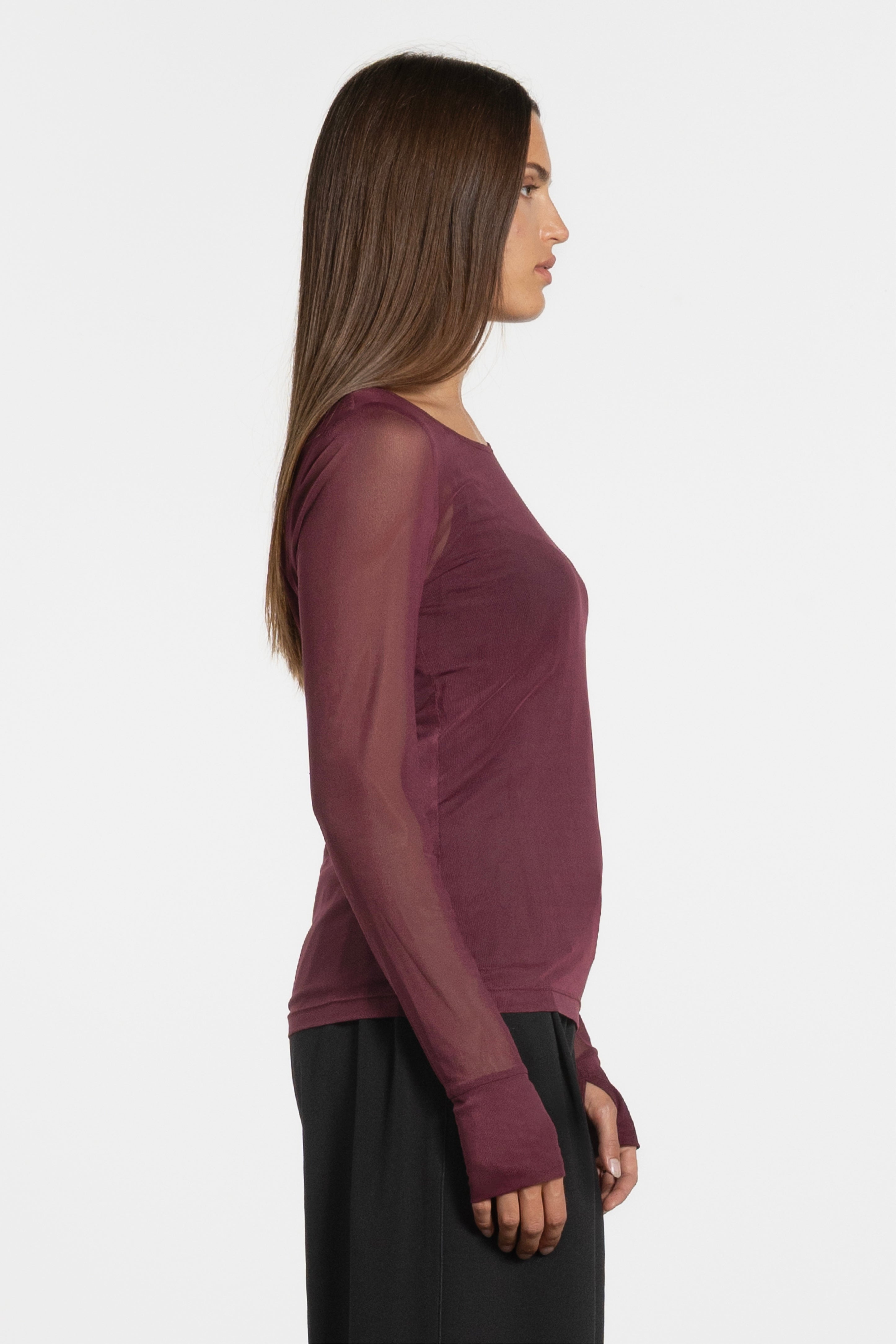 Siri Long Sleeve Fine Mesh Layering Top