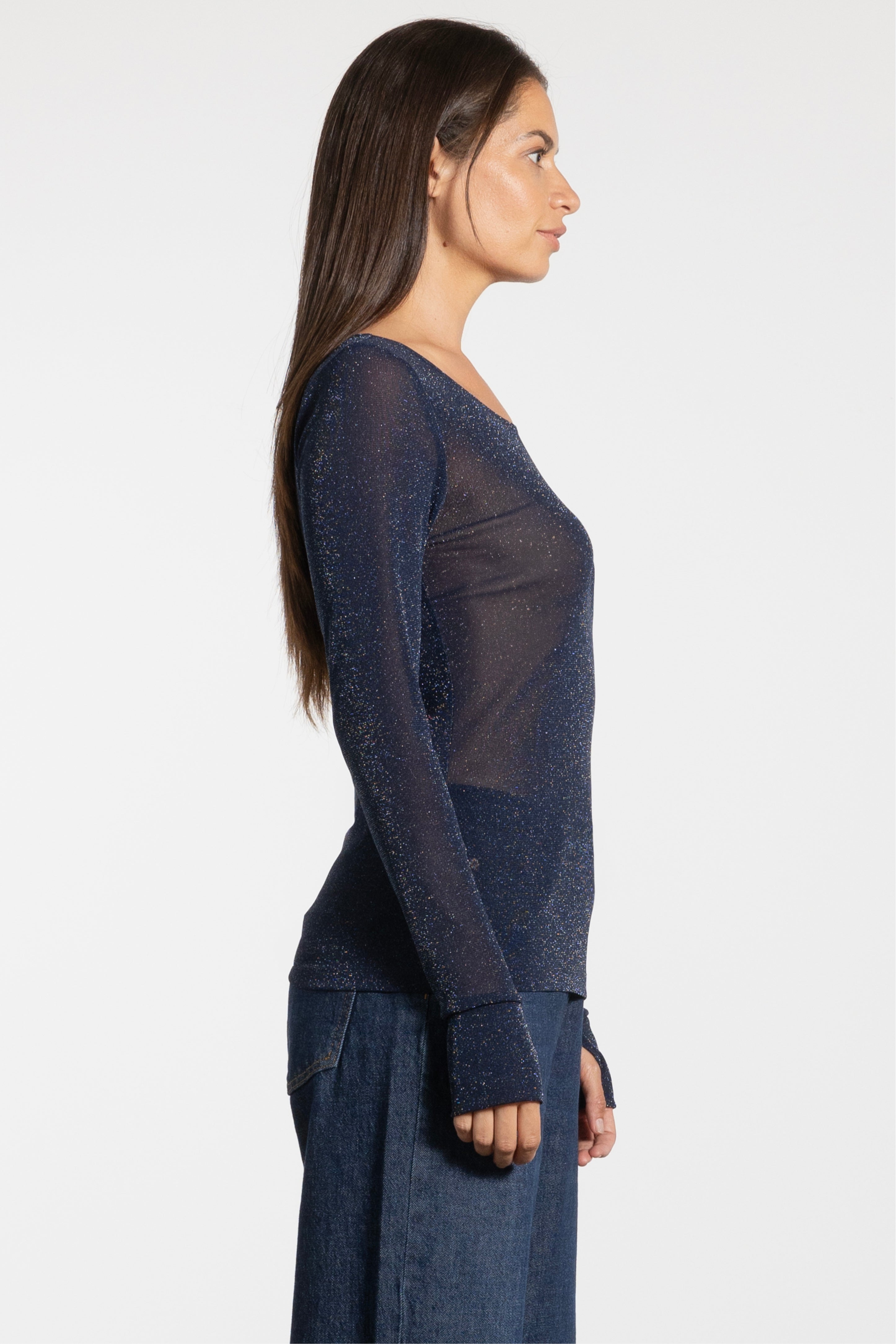 Siri Glitter Long Sleeve Mesh Layering Top