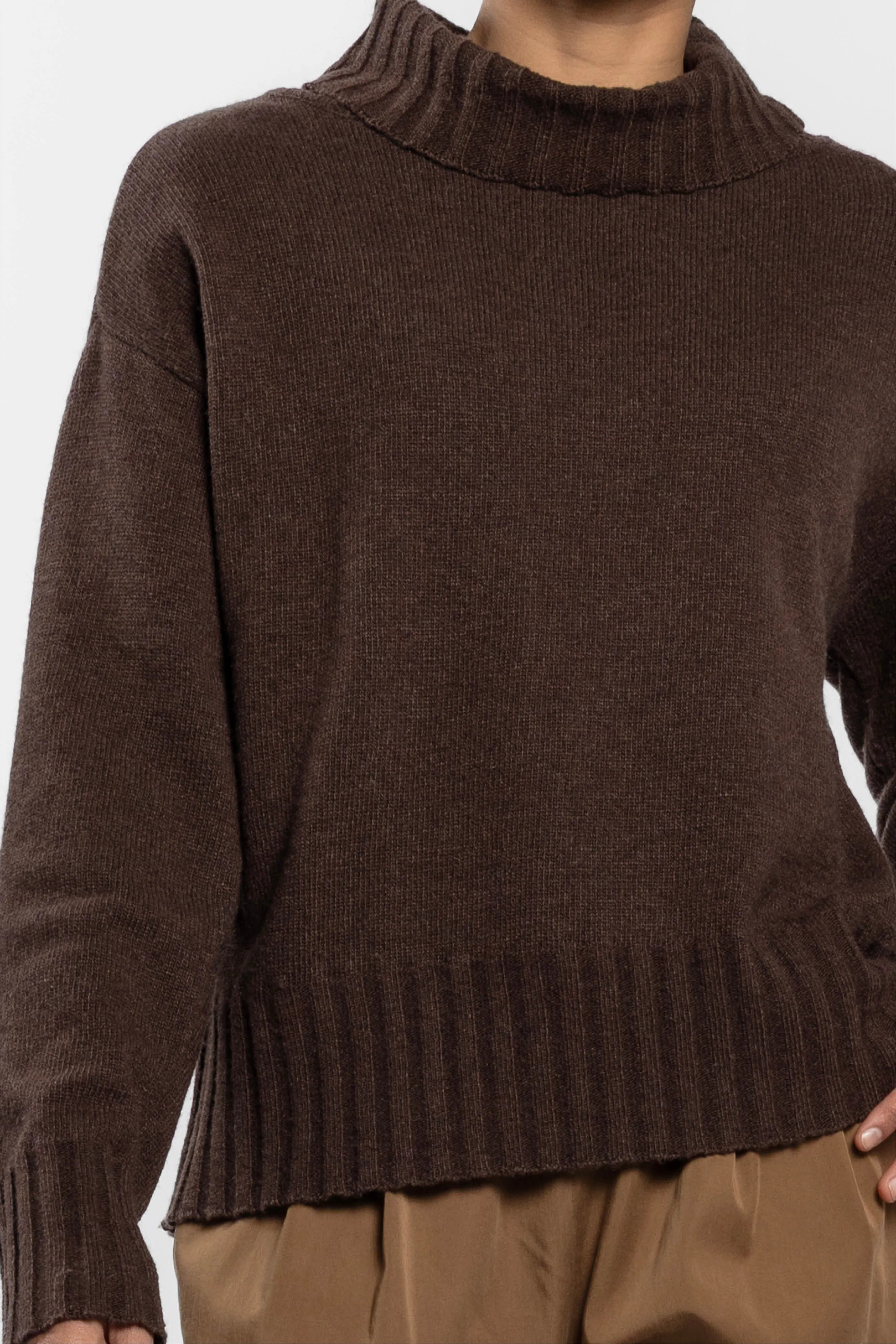 Raya Roll Neck Wool Jumper